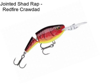 Jointed Shad Rap - Redfire Crawdad