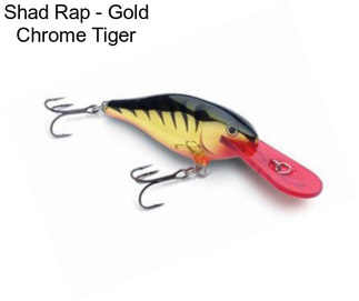 Shad Rap - Gold Chrome Tiger