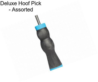 Deluxe Hoof Pick - Assorted