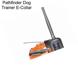Pathfinder Dog Trainer E-Collar