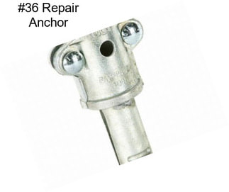 #36 Repair Anchor