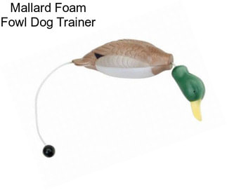 Mallard Foam Fowl Dog Trainer