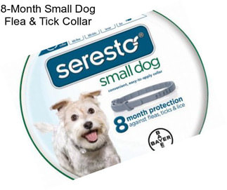 8-Month Small Dog Flea & Tick Collar