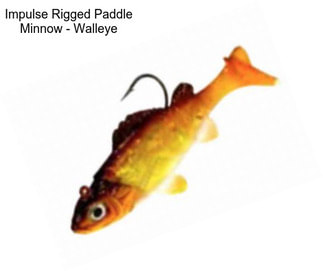 Impulse Rigged Paddle Minnow - Walleye