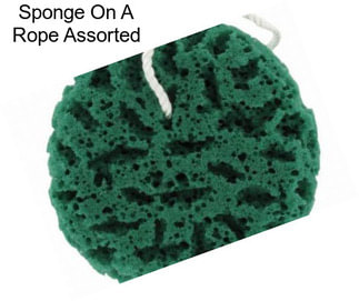 Sponge On A Rope Assorted