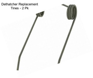 Dethatcher Replacement Tines - 2 Pk