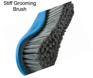 Stiff Grooming Brush