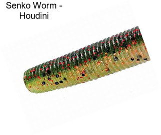 Senko Worm - Houdini