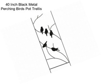 40 Inch Black Metal Perching Birds Pot Trellis