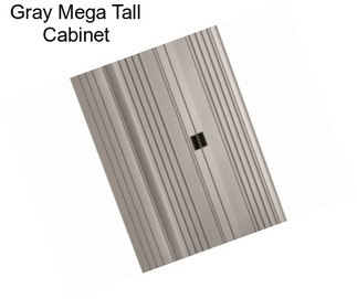 Gray Mega Tall Cabinet