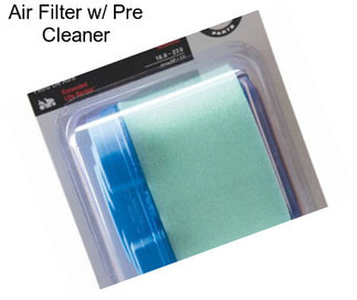 Air Filter w/ Pre Cleaner