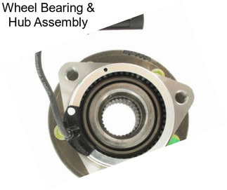 Wheel Bearing & Hub Assembly