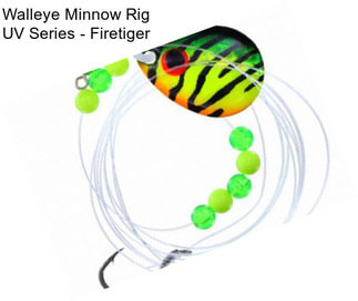 Walleye Minnow Rig UV Series - Firetiger