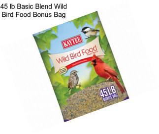 45 lb Basic Blend Wild Bird Food Bonus Bag