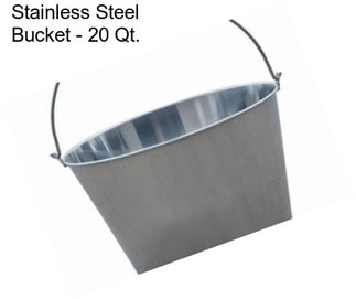 Stainless Steel Bucket - 20 Qt.