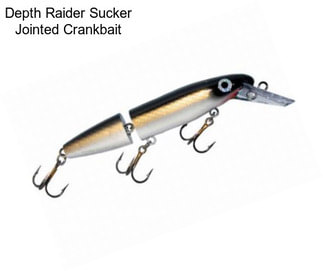 Depth Raider Sucker Jointed Crankbait