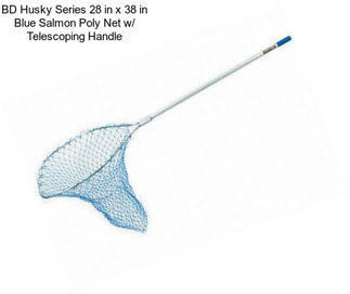 BD Husky Series 28 in x 38 in Blue Salmon Poly Net w/ Telescoping Handle