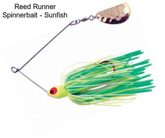 Reed Runner Spinnerbait - Sunfish