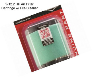 9-12.2 HP Air Filter Cartridge w/ Pre-Cleaner