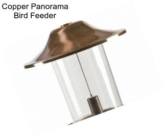 Copper Panorama Bird Feeder