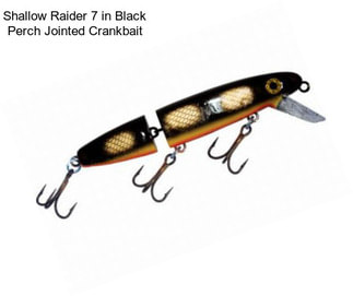 Shallow Raider 7 in Black Perch Jointed Crankbait