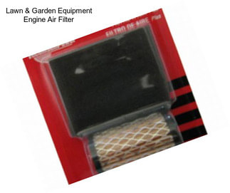 Lawn & Garden Equipment Engine Air Filter