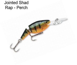 Jointed Shad Rap - Perch
