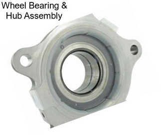 Wheel Bearing & Hub Assembly