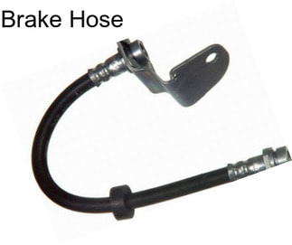 Brake Hose