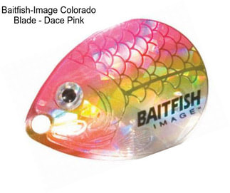 Baitfish-Image Colorado Blade - Dace Pink