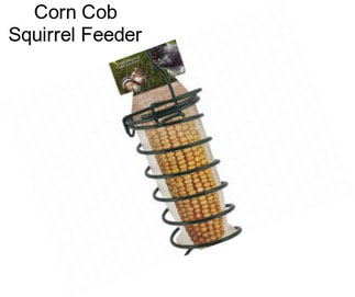 Corn Cob Squirrel Feeder