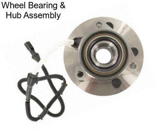 Wheel Bearing & Hub Assembly