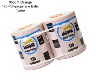 9600 ft Orange 170 Polypropylene Baler Twine