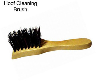 Hoof Cleaning Brush