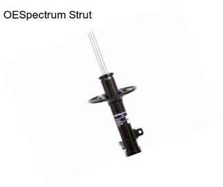 OESpectrum Strut