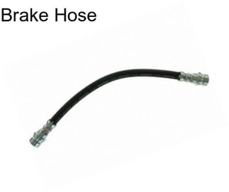 Brake Hose