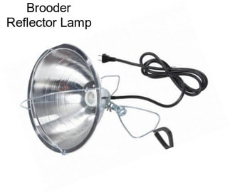 Brooder Reflector Lamp