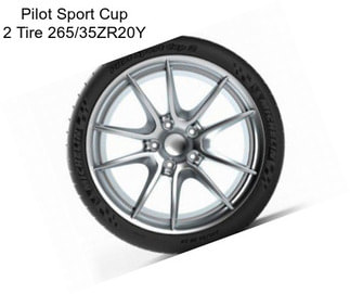 Pilot Sport Cup 2 Tire 265/35ZR20Y