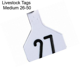 Livestock Tags  Medium 26-50