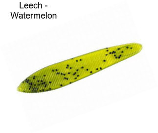 Leech - Watermelon