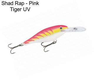 Shad Rap - Pink Tiger UV