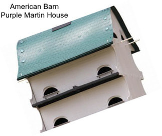 American Barn Purple Martin House