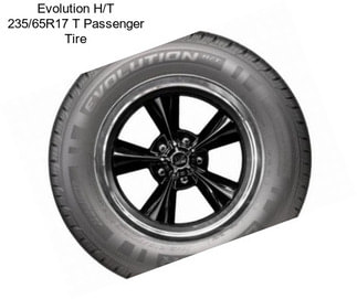 Evolution H/T 235/65R17 T Passenger Tire