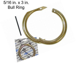 5/16 in. x 3 in. Bull Ring