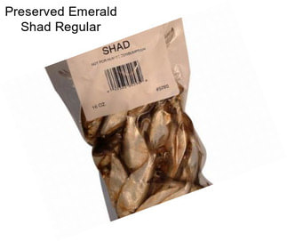 Preserved Emerald Shad Regular