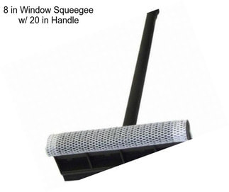 8 in Window Squeegee w/ 20 in Handle