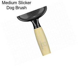 Medium Slicker Dog Brush