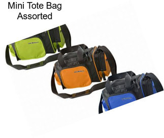 Mini Tote Bag Assorted