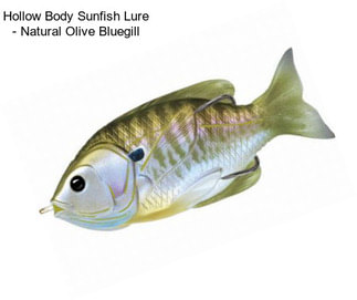 Hollow Body Sunfish Lure - Natural Olive Bluegill