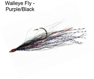 Walleye Fly - Purple/Black